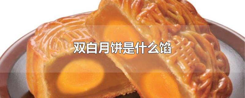 双白月饼是什么馅（双白月饼跟五仁哪个好吃，孕妇可以吃吗，怎么制作） 第1张