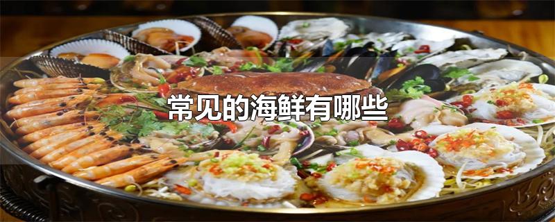 常见的海鲜有哪些（海鲜有哪些种类营养及名称的图片大全） 第1张