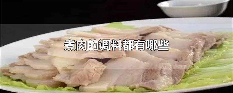 煮肉的调料都有哪些（煮肉的调料都有哪些孕妇有哪些不能吃） 第1张