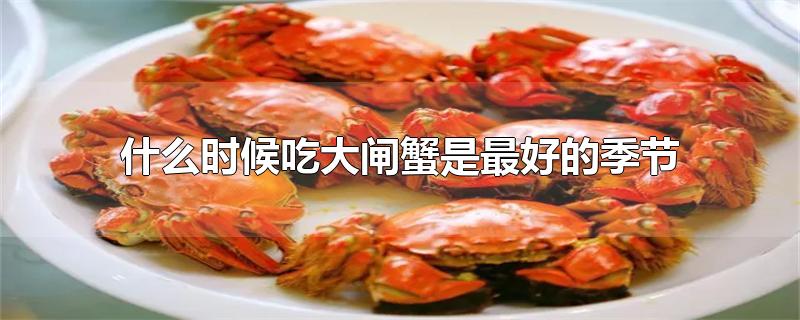 什么时候吃大闸蟹是最好的季节（每年吃大闸蟹的季节是在什么月份啊） 第1张