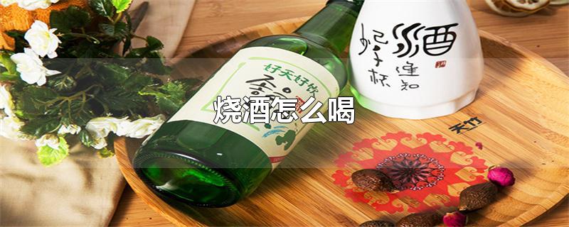 烧酒怎么喝（烧酒怎么喝好喝） 第1张