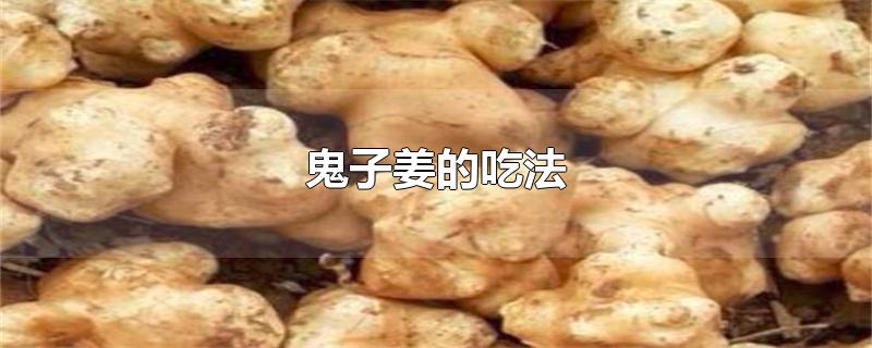 鬼子姜的吃法（鬼子姜的吃法及做法大全） 第1张