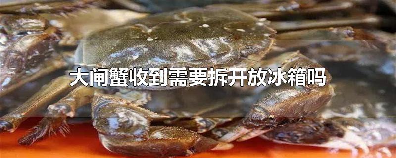 大闸蟹收到需要拆开放冰箱吗（大闸蟹到了后直接放冰箱可以吗） 第1张