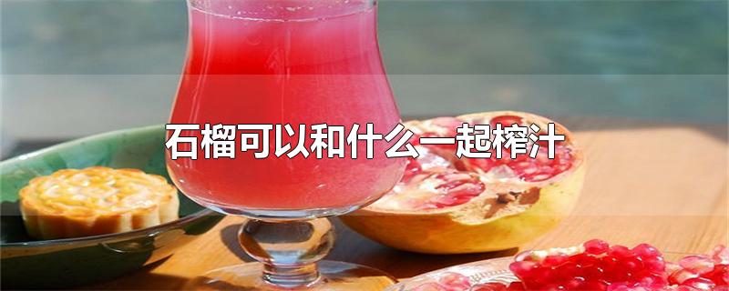石榴可以和什么一起榨汁（石榴和什么水果一起榨汁比较好喝） 第1张