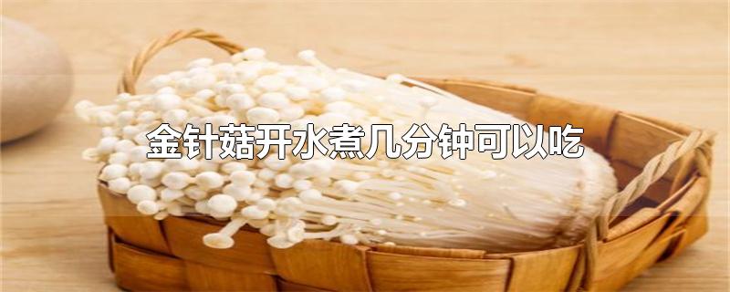 金针菇开水煮几分钟可以吃（金针菇开水煮几分钟能熟） 第1张