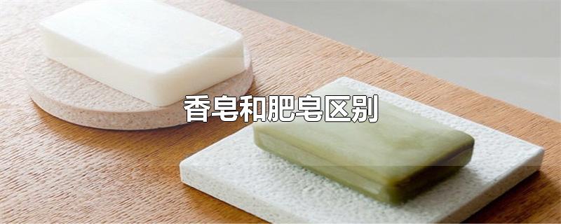 香皂和肥皂区别是什么（香皂与肥皂有什么区别） 第1张