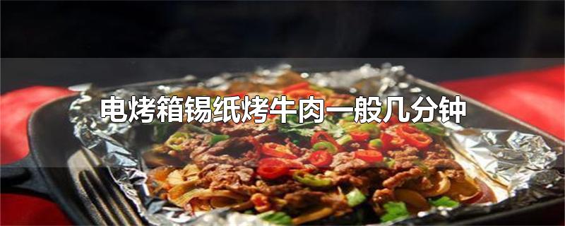 电烤箱锡纸烤牛肉一般几分钟（电烤箱烤锡纸牛肉时间和温度） 第1张