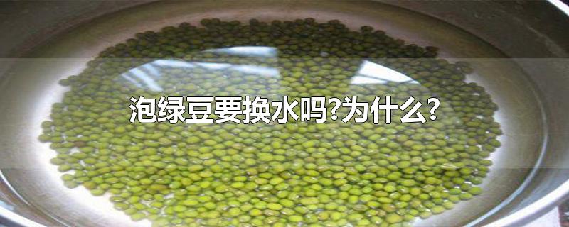 泡绿豆要换水吗?为什么?（绿豆要怎么保存） 第1张