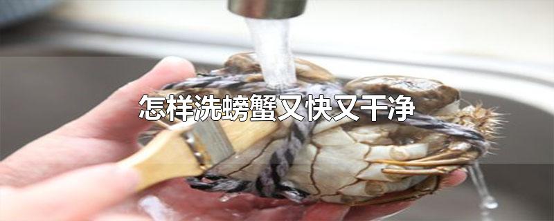 怎样洗螃蟹又快又干净（螃蟹的生活习性是怎样的） 第1张