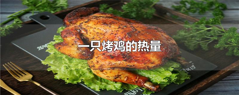 一只烤鸡的热量（烤鸡要如何保存） 第1张
