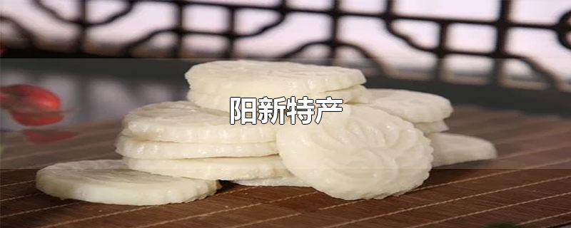 阳新特产有哪些土特产（阳新特产有哪些小吃） 第1张