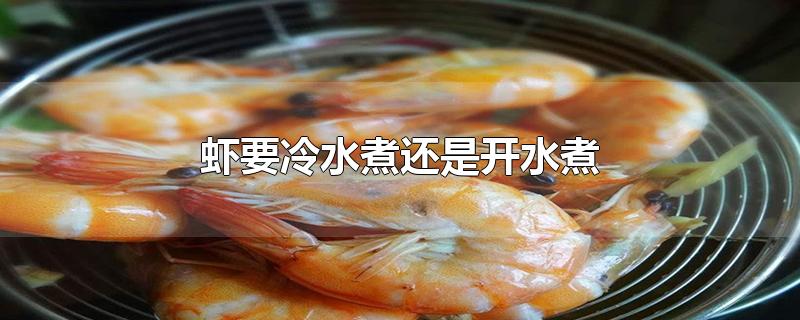 虾要冷水煮还是开水煮（水煮虾用开水煮还是冷水煮好） 第1张