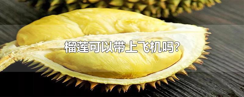 榴莲可以带上飞机吗?（榴莲应该如何保存） 第1张