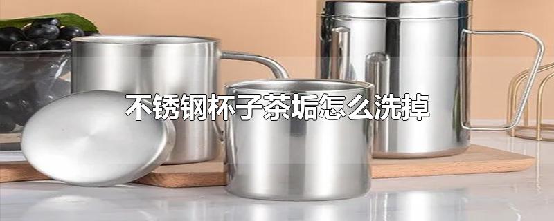 不锈钢杯子茶垢怎么洗掉（使用不锈钢杯子的注意事项） 第1张
