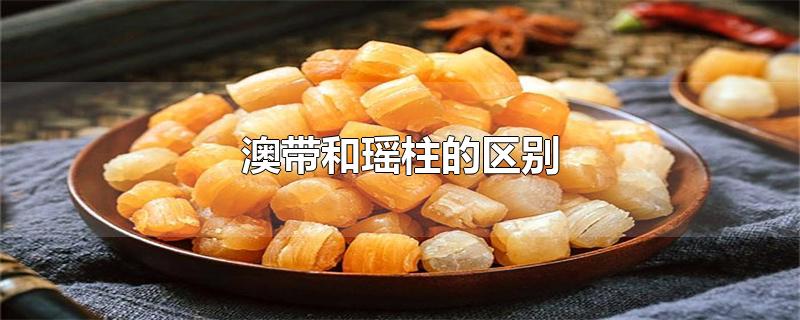 澳带和瑶柱的区别（瑶柱和带子有哪些区别） 第1张
