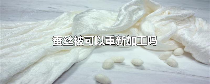 蚕丝被可以重新加工吗（蚕丝被用久了可以二次加工吗） 第1张