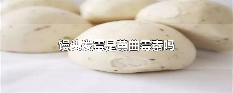 馒头发霉是黄曲霉素吗（馒头上的霉点是黄曲霉素吗） 第1张