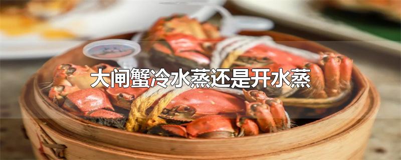 大闸蟹冷水蒸还是开水蒸（大闸蟹冷水蒸还是开水蒸多长时间） 第1张