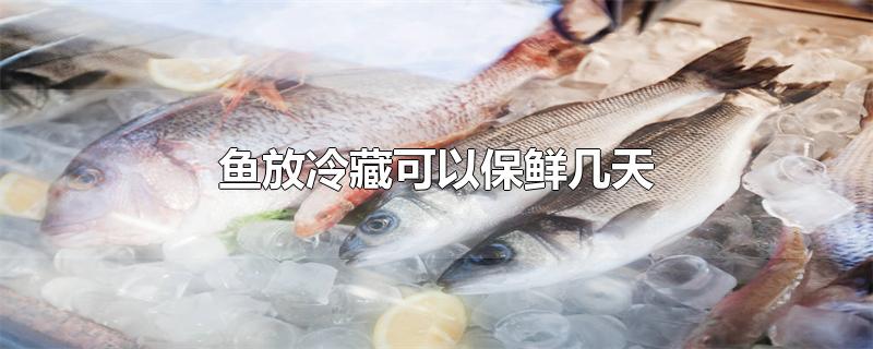 鱼放冷藏可以保鲜几天(新鲜的鱼放冰箱冷藏可以放几天) 第1张