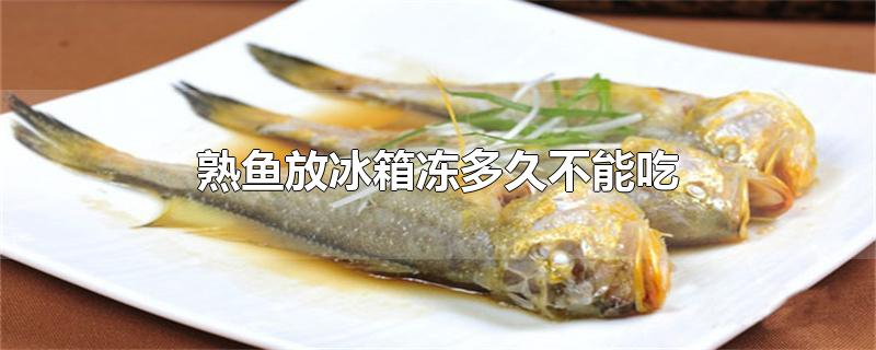 熟鱼放冰箱冻多久不能吃（熟鱼肉在冰箱冷冻多少天就不能吃了） 第1张