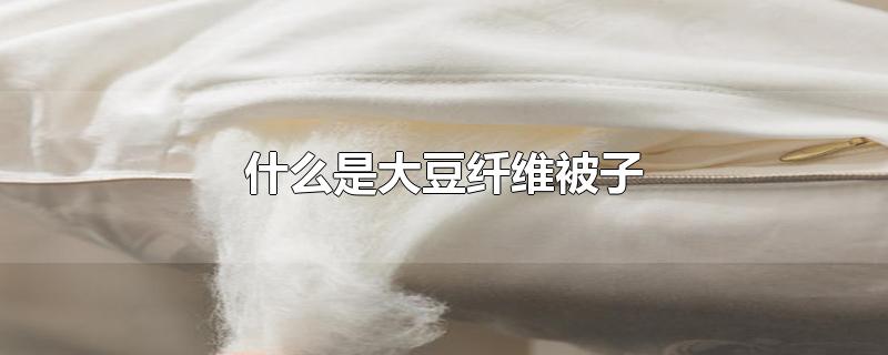 什么是大豆纤维被子（大豆纤维被子的优点和缺点） 第1张