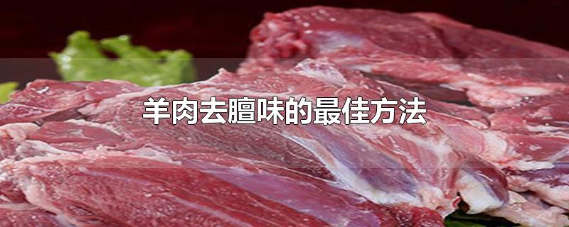 羊肉去膻味的最佳方法（羊肉怎么去掉膻味） 第1张