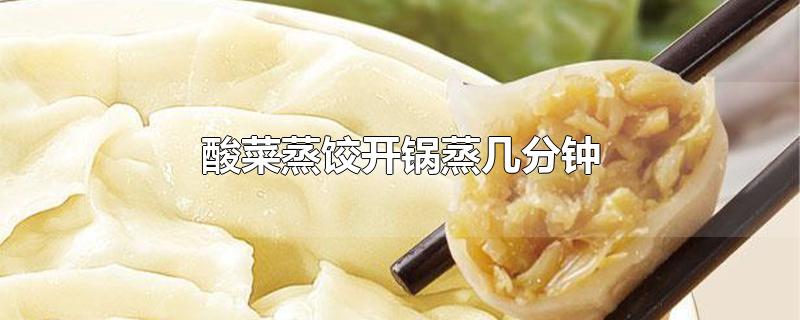 酸菜蒸饺开锅蒸几分钟（酸菜蒸饺开锅需要蒸几分钟） 第1张
