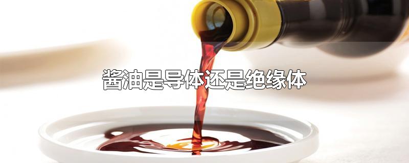 酱油是导体还是绝缘体（如何挑选酱油） 第1张