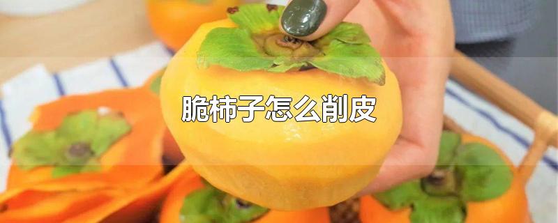 脆柿子怎么削皮（脆柿子削皮的正确方法） 第1张
