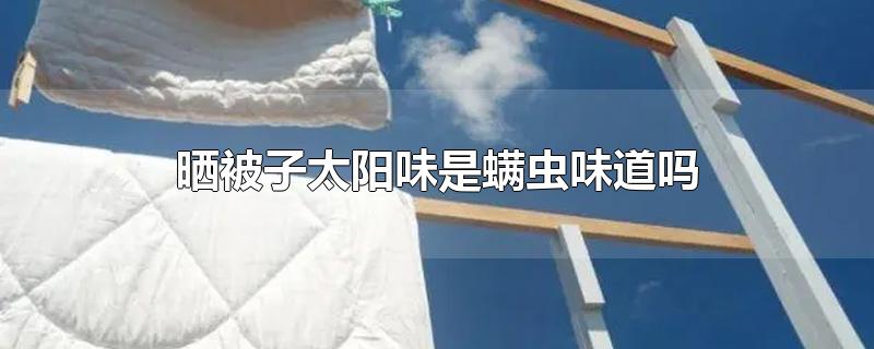 晒被子太阳味是螨虫味道吗 第1张