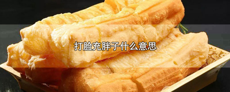 打脸充胖子什么意思（打脸充胖子的含义） 第1张