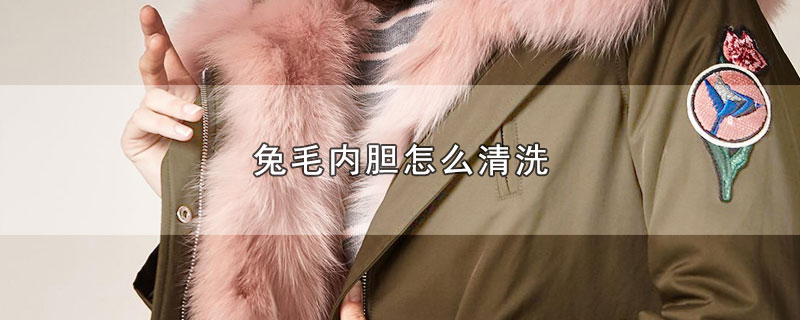 兔毛内胆怎么清洗（兔毛内胆如何清洗） 第1张