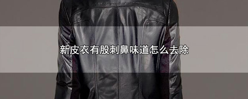 新皮衣有股刺鼻味道怎么去除（新皮衣有股刺鼻味道如何去除） 第1张