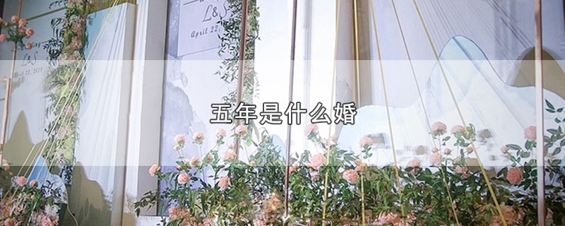 五年是什么婚（结婚五年称为什么婚） 第1张