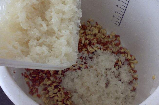 杂粮米饭配方（杂粮米饭的制作方法） 第7张