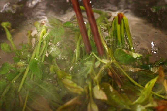 香椿煎蛋香椿要焯水吗 第5张