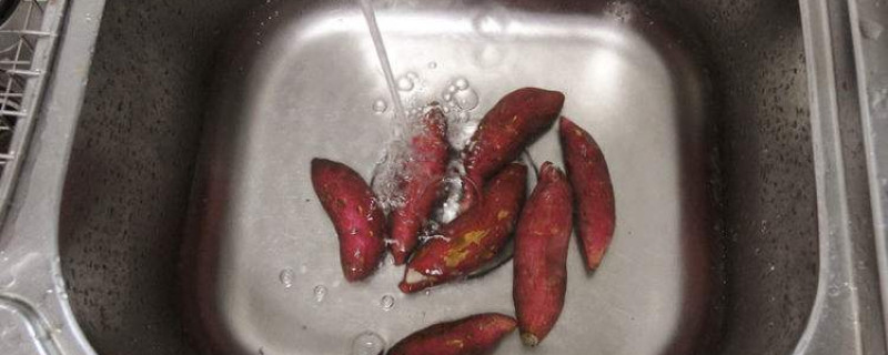 烤箱无油烤红薯片方法（烤箱如何烤无油红薯片的做法） 第1张