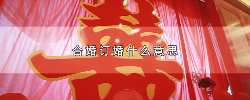 合婚订婚什么意思（合婚订婚有什么含义） 第1张