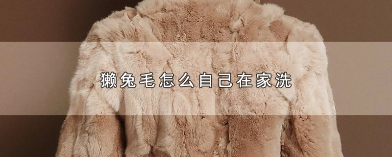 獭兔毛怎么自己在家洗 第1张