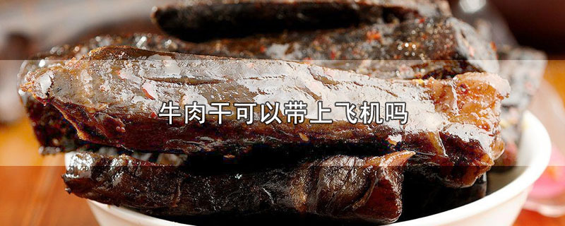 牛肉干可以带上飞机吗 第1张