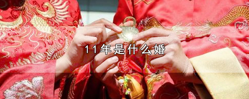11年是什么婚 第1张