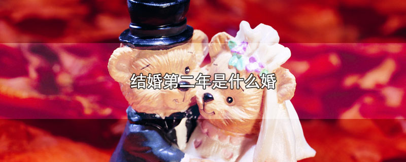 结婚第二年是什么婚 第1张
