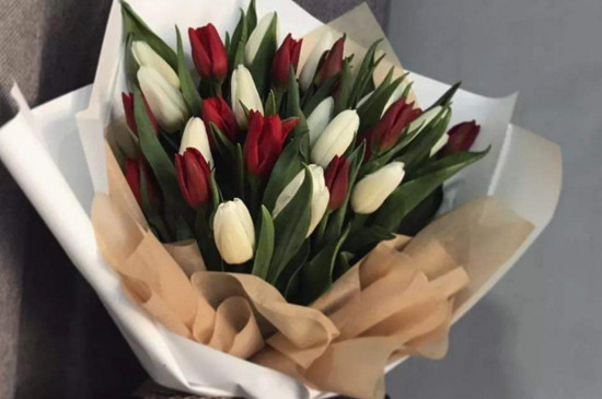 订婚送什么花 第5张
