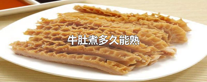 牛肚煮多久能熟 第1张