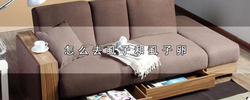 怎么去虱子和虱子卵 第1张