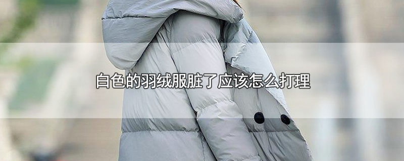 白色的羽绒服脏了应该怎么打理 第1张