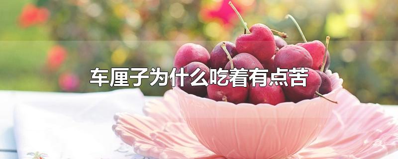 车厘子为什么吃着有点苦 第1张