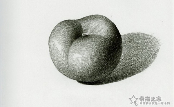素描静物番茄 第1张