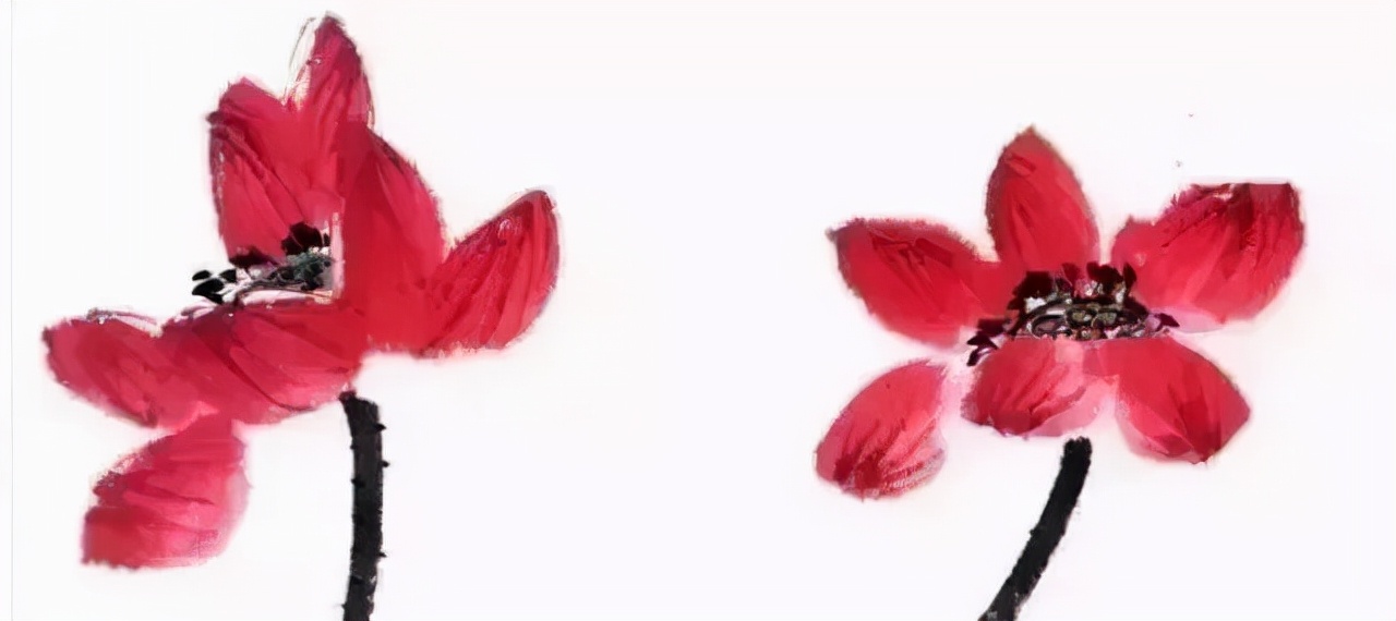 自学工笔：荷花。一看就会系列 第11张