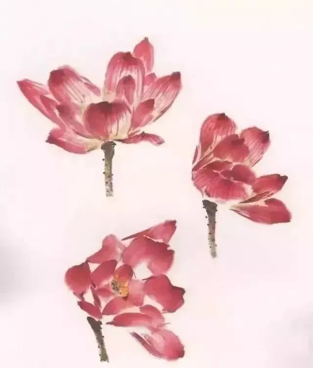 自学工笔：荷花。一看就会系列 第59张